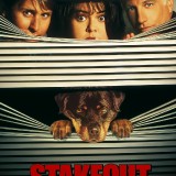 Stakeout-2fc6b5eee09948345