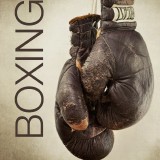 boxing96198b3602efd3a1