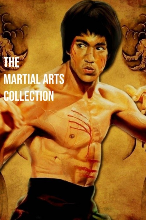 The Martial Arts Collection - Plex Collection Posters