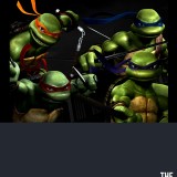 The-Teenage-Mutant-Ninja-Turtles-Collection-2066c78268406b341