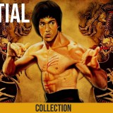 The-Martial-Arts-Collection-3---Backgroundfc0f9b73eb5d6739