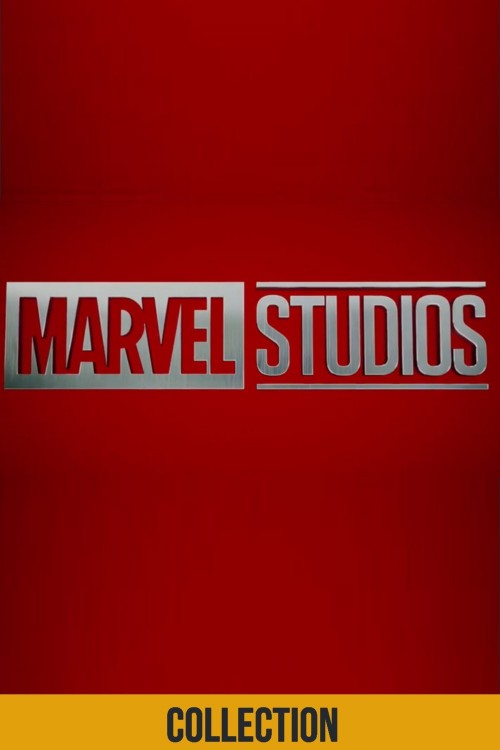 The Marvel Cinematic Universe (MCU) covers the following films and television series:

Infinity Saga: Iron Man (2008), The Incredible Hulk (2008), Iron Man 2 (2010), Thor (2011), Capitan America: The First Avenger (2011), Marvel's The Avengers (2012), Iron Man 3 (2013), Thor: The Dark World (2013), Capitan America: The Winter Soldier (2014), Guardians of the Galaxy vol. 1 (2014), Avengers: Age of Ultron (2015), Ant-Man (2015), Capitan America: Civil War (2016), Doctor Strange (2016), Guardians of the Galaxy vol. 2 (2017), Spider-Man: Homecoming (2017), Thor: Ragnarok (2017), Black Panther (2018), Avengers: Infinity War (2018), Ant-Man and the Wasp (2018), Capitan Marvel (2019), Avengers: Endgame (2019).

Post-Infinity Saga: Spider-Man: Far From Home (2019)

Television series: Marvel's Agents of S.H.I.E.L.D, Marvel's Agent Carter, Marvel's Inhumans, Marvel's Daredevil, Marvel's Jessica Jones, Marvel's Luke Cage, Marvel's Iron Fist, Marvel's The Defenders, Marvel's The Punisher, Marvel's Runaways, Marvel's Ghost Rider, Marvel's Helstron, Marvel's Clock & Dagger, The Falcon and the Winter Soldier, What If...?, WandaVision, Loki, (Untitled Hawkeye series), Marvel's New Warriors, Marvel's Most Wanted, Marvel's Damage Control

Short films: The Consultant (2011), A Funny Thing Happened on the Way to Thor's Hammer (2011), Item 47 (2012), Agent Carter (2013), All Hail the King (2014)

Digital series: WHIH Newsfront, Marvel's Agents of S.H.I.E.L.D.: Slingshot