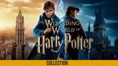 The Wizarding World of Harry Potter, including Fantastic Beasts and Where to Find Them.

Harry Potter and the Philosopher's Stone (2001), Harry Potter and the Chamber of Secrets (2002), Harry Potter and the Prisoner of Azkaban (2004), Harry Potter and the Goblet of Fire (2005), Harry Potter and the Order of the Phoenix (2007), Harry Potter and the Half-Blood Prince (2009), Harry Potter and the Deathly Hallows – Part 1 (2010), Harry Potter and the Deathly Hallows – Part 2 (2011), Fantastic Beasts and Where to Find Them (2016), Fantastic Beasts: The Crimes of Grindelwald (2018)