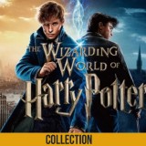 The-Wizarding-World-of-Harry-Potter-Backgroundfc90f097352c8f42