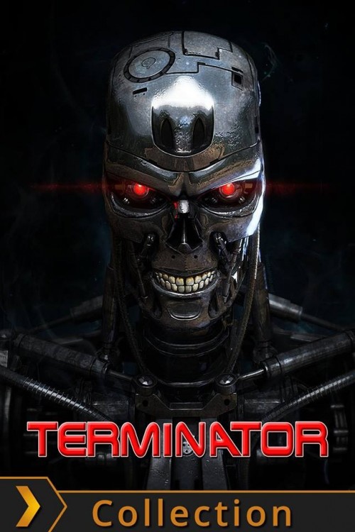 Terminator-Collection42c175b98bc2b810.jpg