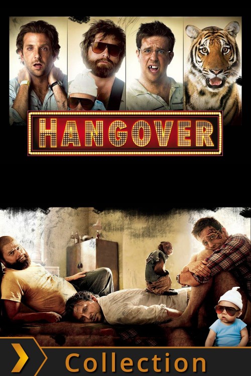 The Hangover Collection