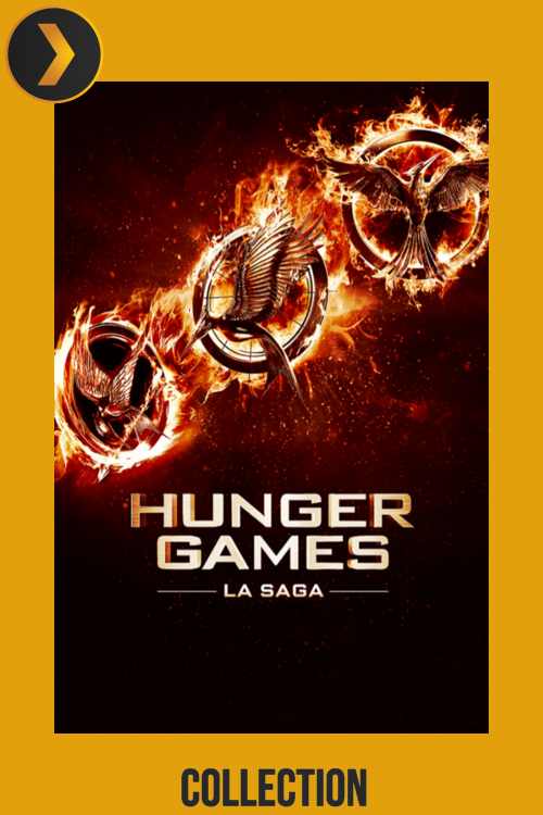 Hunger-Gamesb088fb725f516d06.png