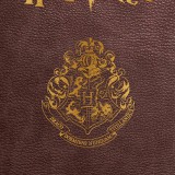 Harry-Potter6ca797b8d4ee5252