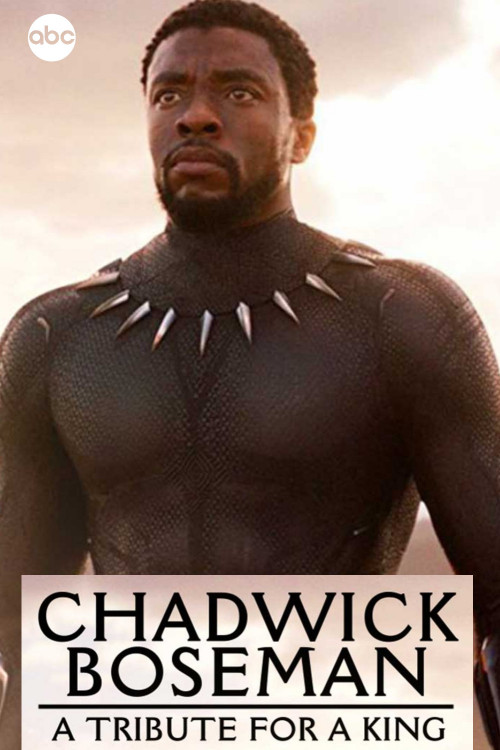 Chadwick Boseman A Tribute for a King (2020)