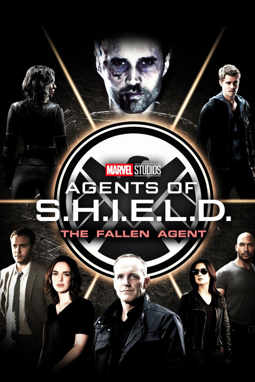 Agents of SHIELD The Fallen Agent