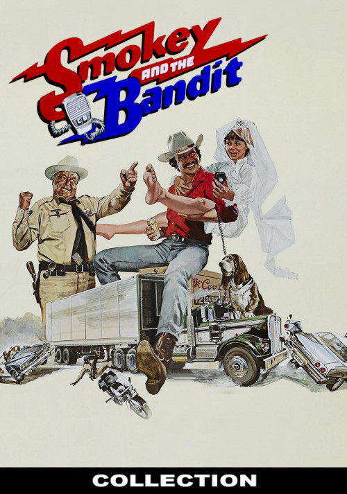 smokey-and-the-bandit-5a529b7805626737227e728d1dfc7.jpg