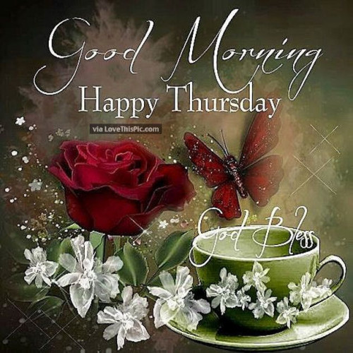 happy thursday good morning in hd free download