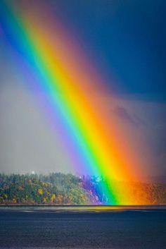 rainbow-images138a30865c796bb8.jpg