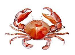 crab-imagese2e9415460229bb8.jpg