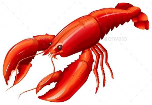 lobster-images7a72558d0f40a1c3.jpg