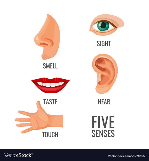 sense organs images in hd free download