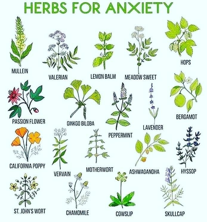 herbs images - Plex Collection Posters