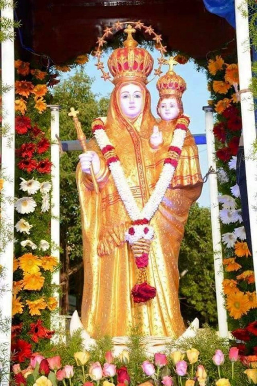 velankanni matha images in hd free download
