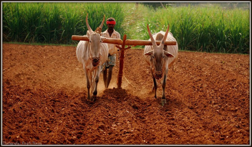 plough images in hd free download