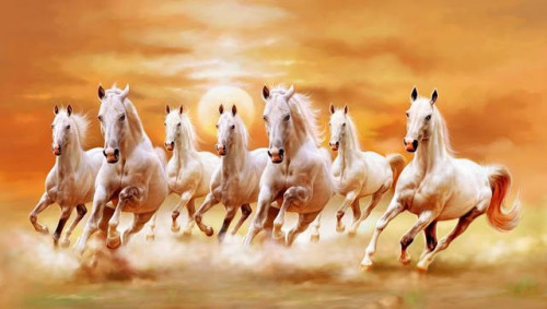 7-horse-images-hd-wallpapers-download1cb9739a762fc69c.jpg