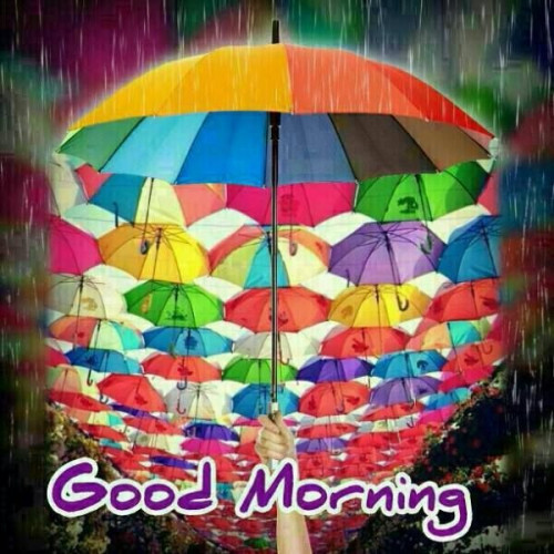 rainy good morning images in hd free download