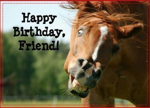 happy birthday horse in hd free download
