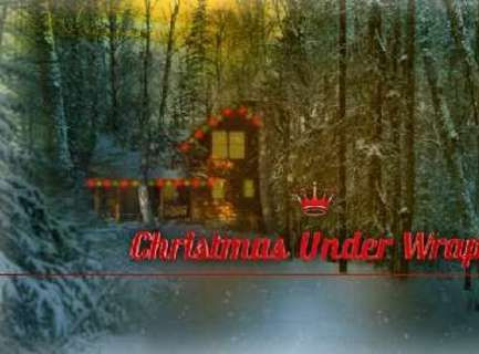 christmas-under-wraps3f257f8252137180.jpg