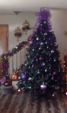 purple-christmas4e41c992032ed560.jpg