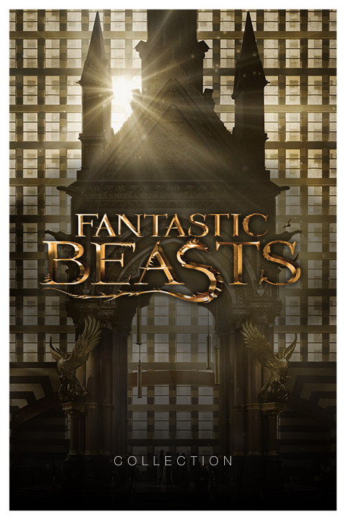 FantasticBeastsCollection9ac946324033e162.png