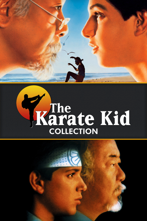 Movie-Collection-the-karate-kid3ef8d79e6af5c567.png